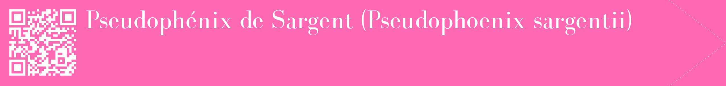 étiquette 2