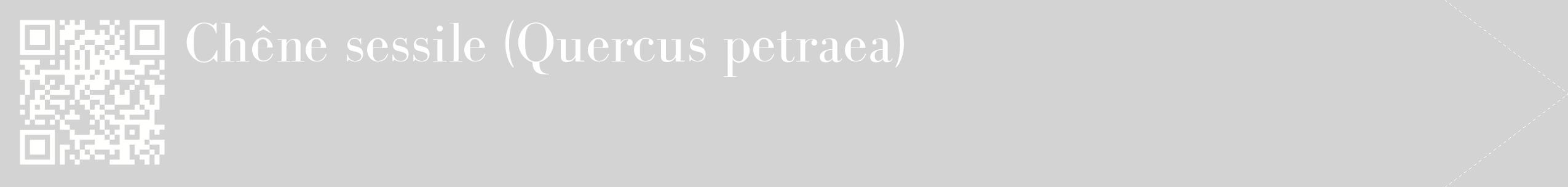 étiquette 2