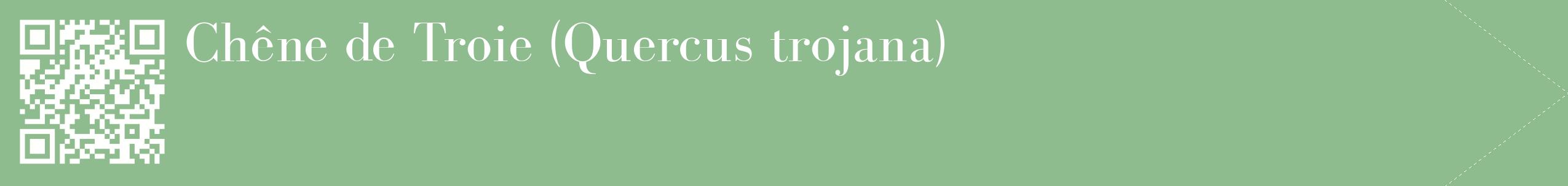 étiquette 2