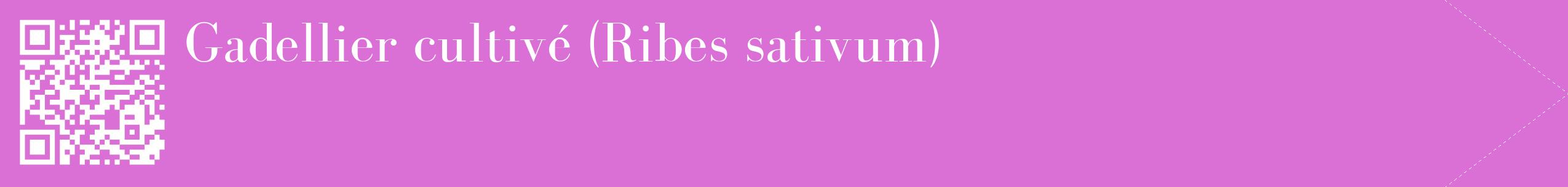 étiquette 2