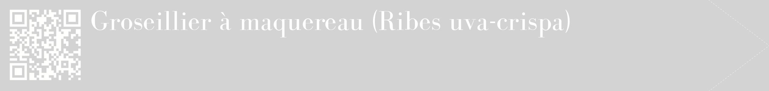étiquette 2