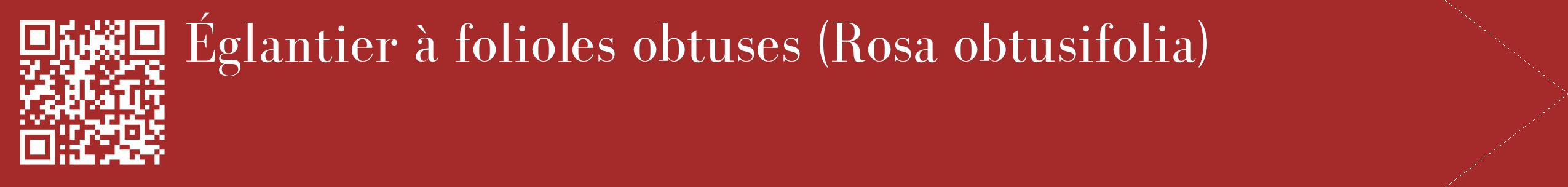 étiquette 2