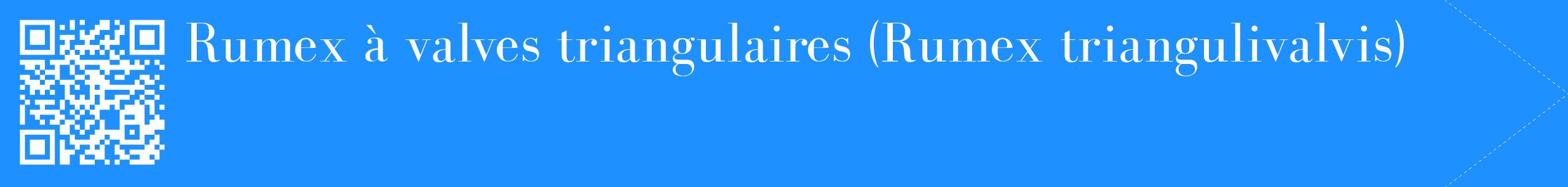 étiquette 2