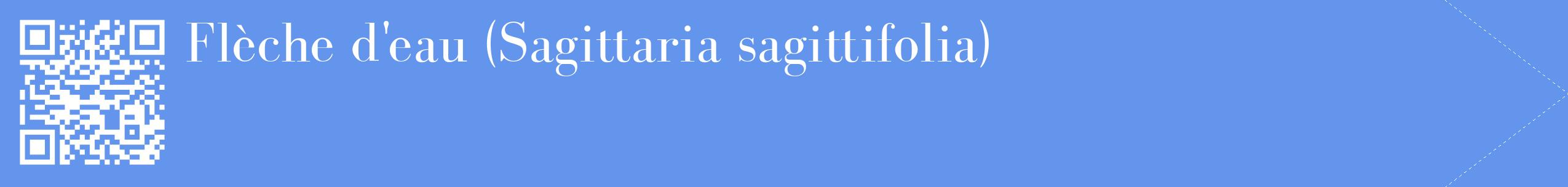 étiquette 2