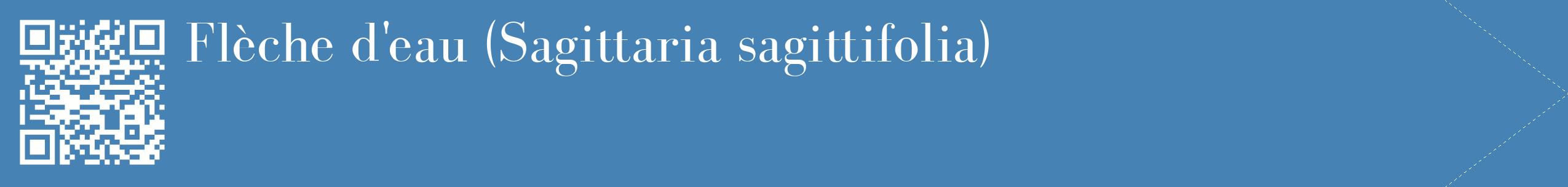 étiquette 2