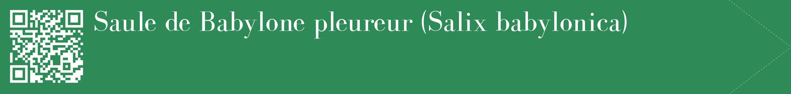 étiquette 2