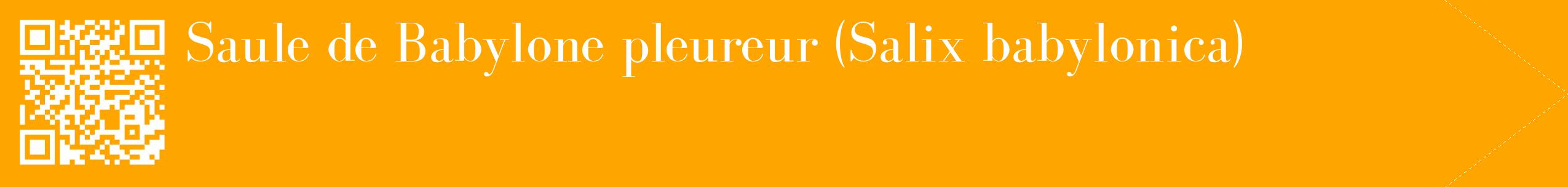 étiquette 2