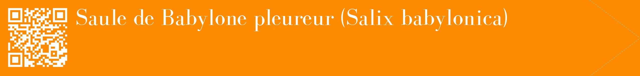 étiquette 2