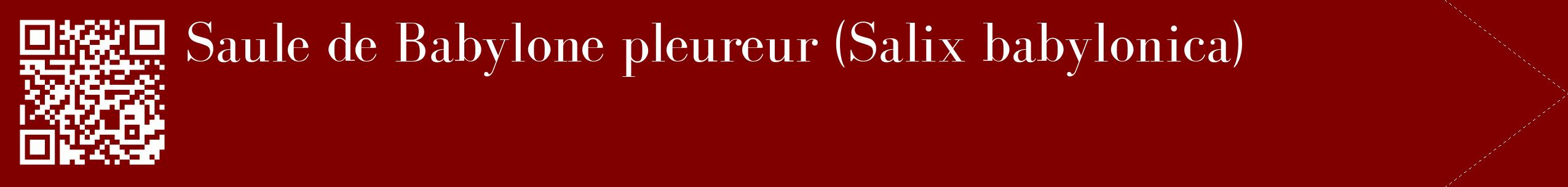 étiquette 2