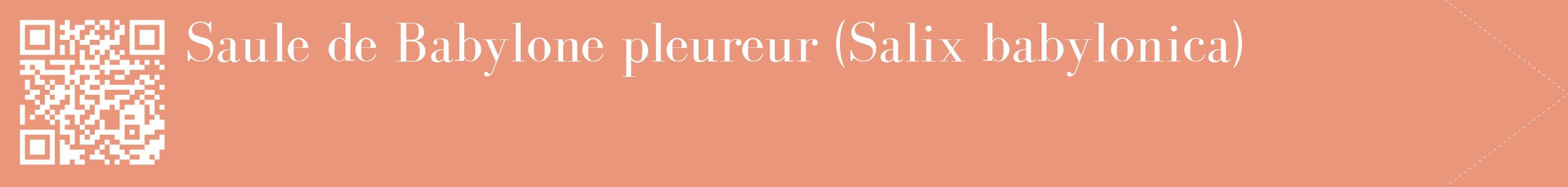 étiquette 2