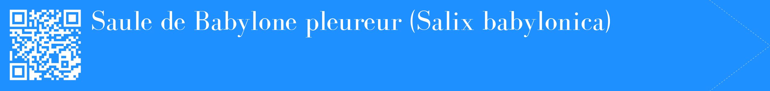 étiquette 2