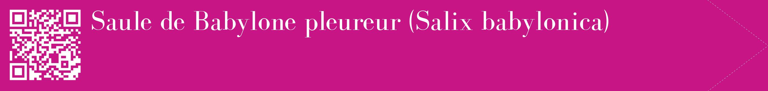 étiquette 2