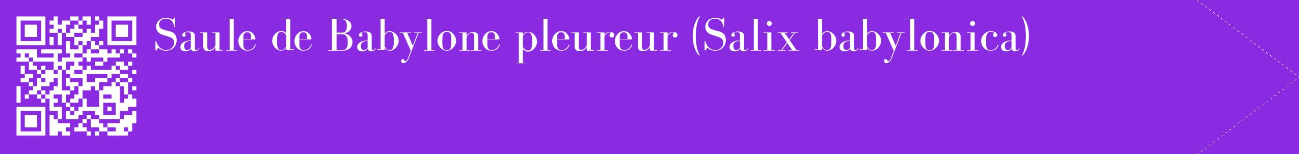 étiquette 2