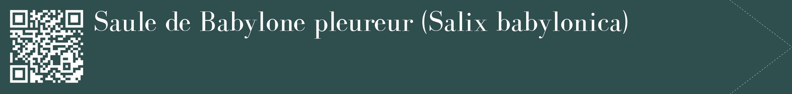 étiquette 2