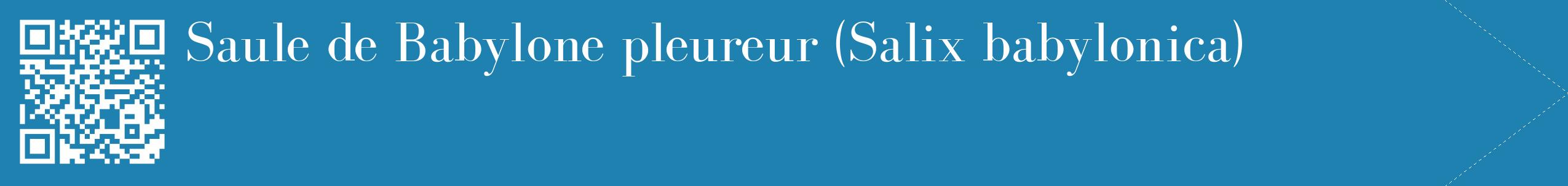 étiquette 2