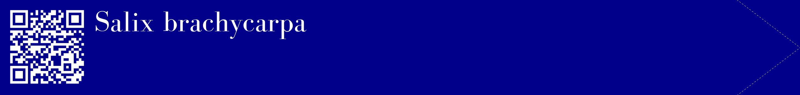 étiquette 2