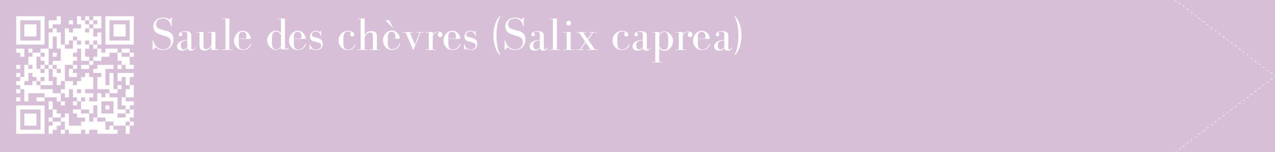 étiquette 2