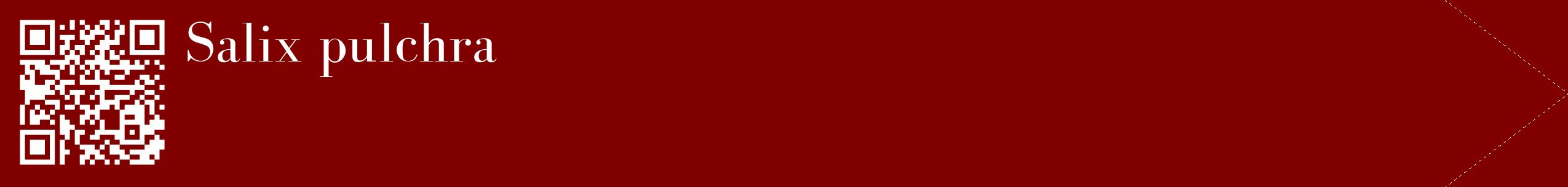étiquette 2