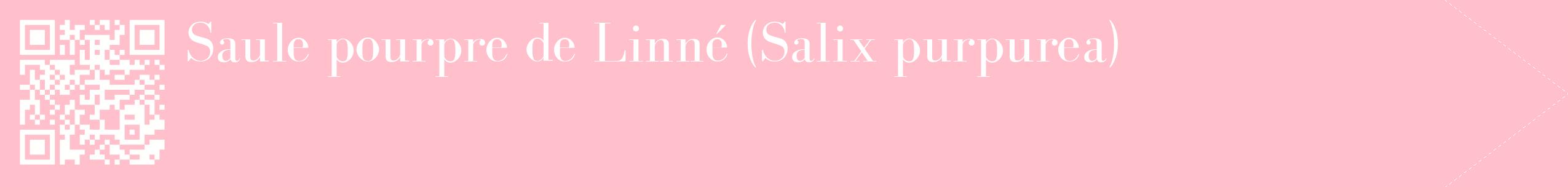étiquette 2