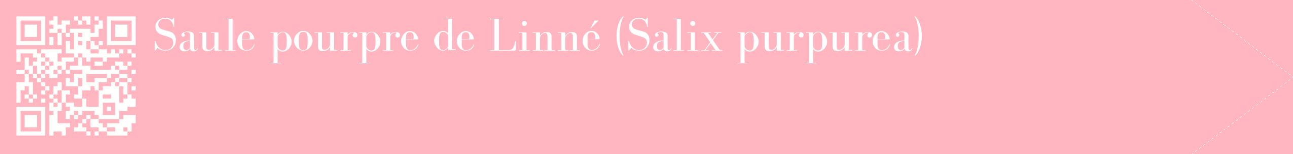 étiquette 2