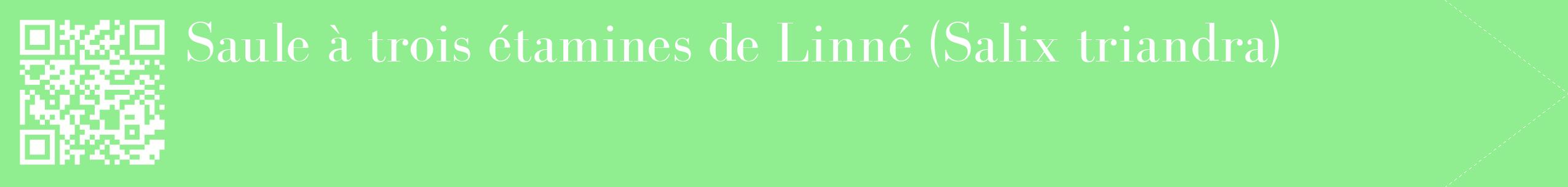 étiquette 2
