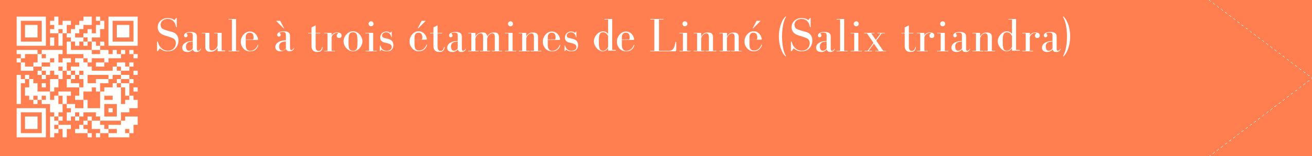 étiquette 2