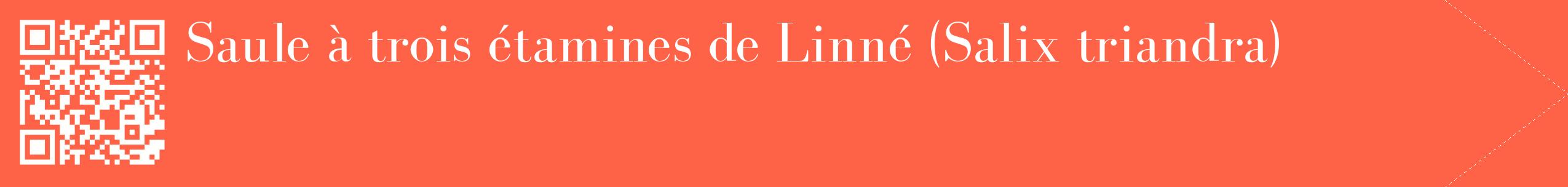 étiquette 2