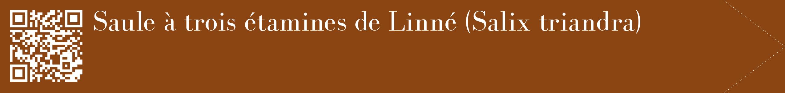 étiquette 2