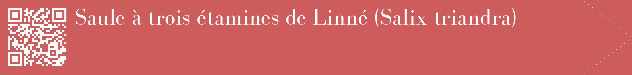 étiquette 2