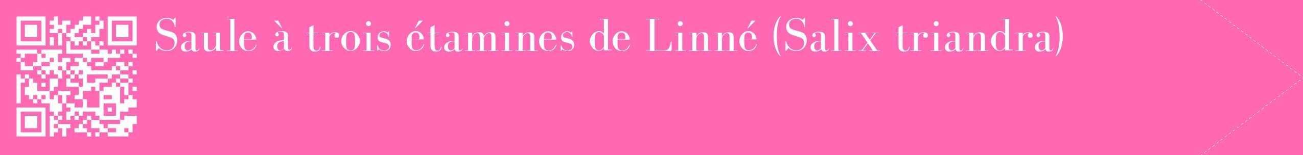 étiquette 2