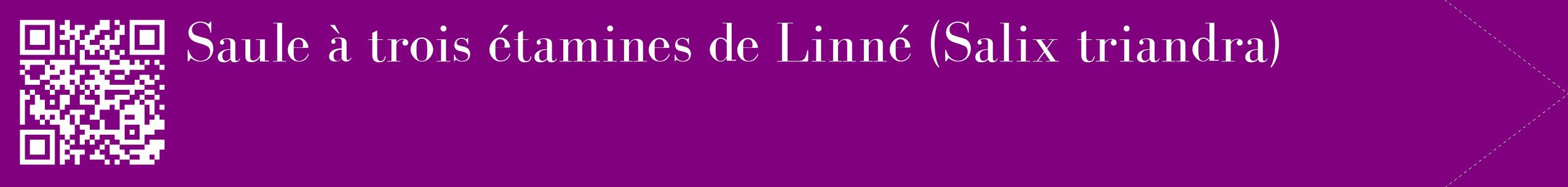 étiquette 2