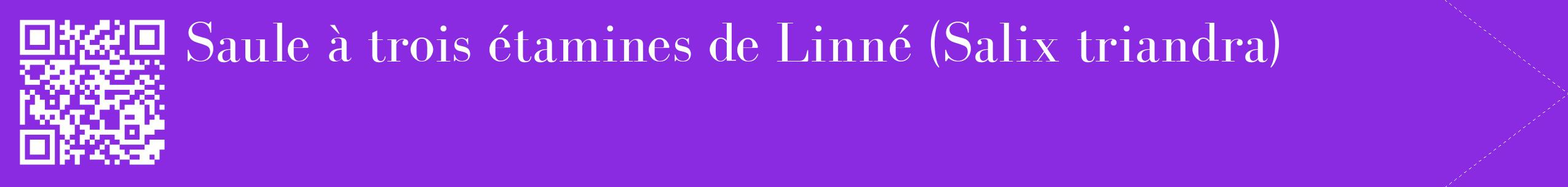 étiquette 2