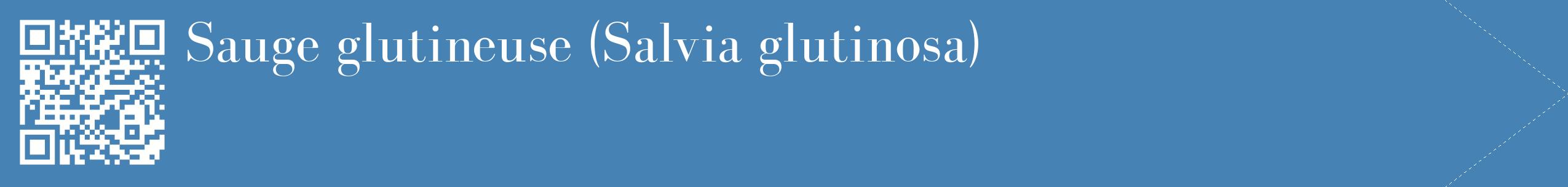 étiquette 2