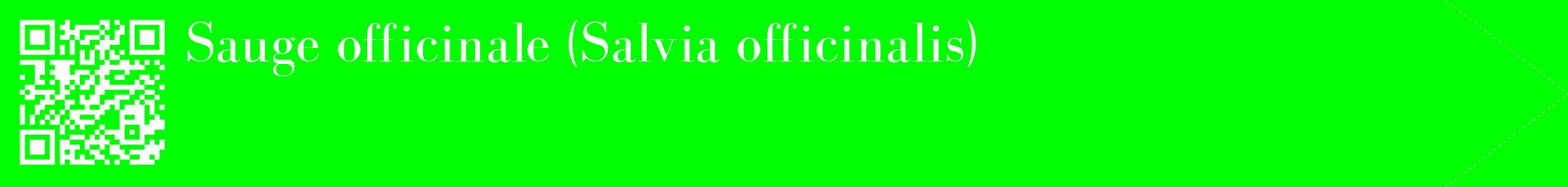 étiquette 2