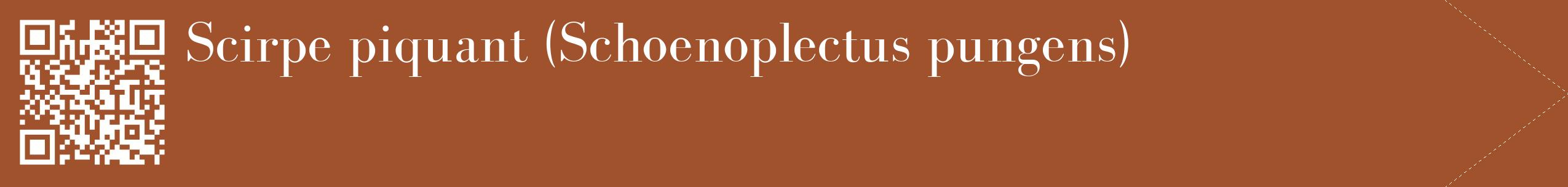 étiquette 2