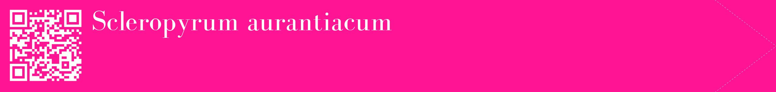 étiquette 2
