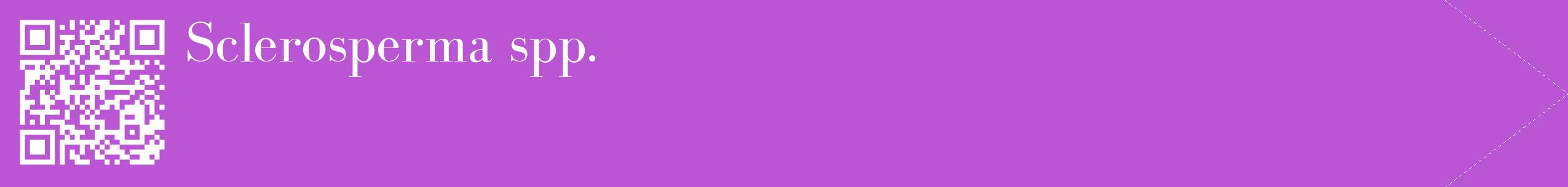 étiquette 2
