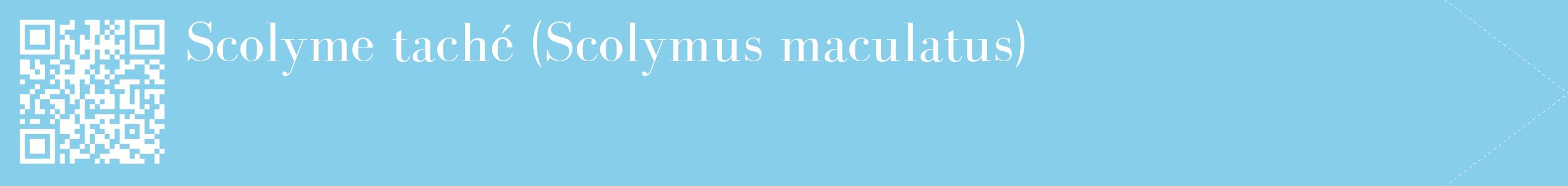 étiquette 2