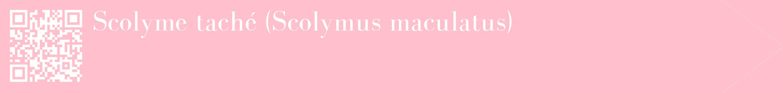 étiquette 2