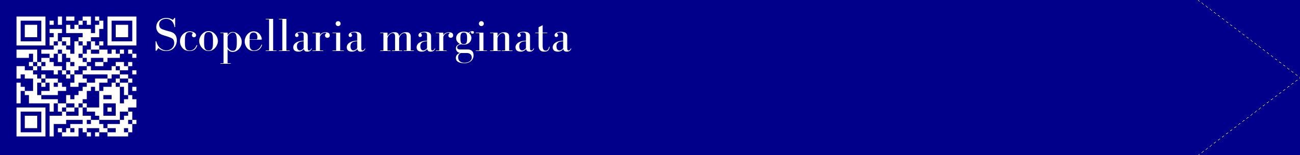 étiquette 2