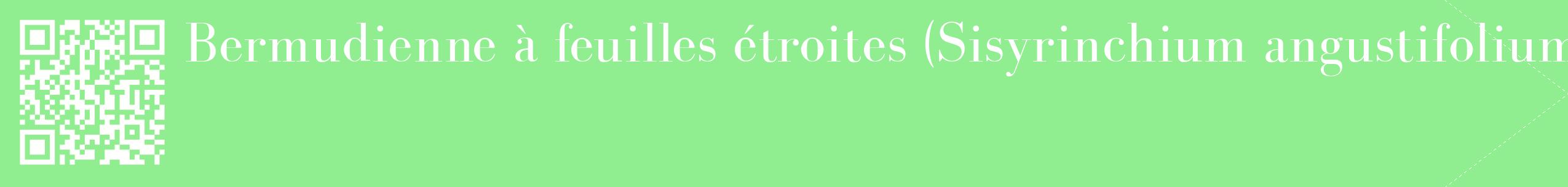 étiquette 2