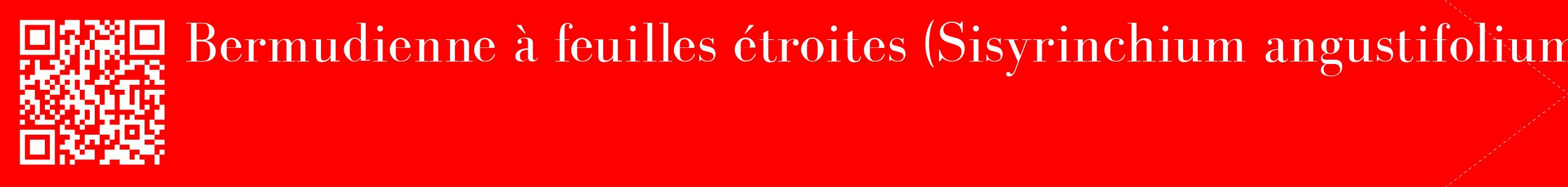 étiquette 2
