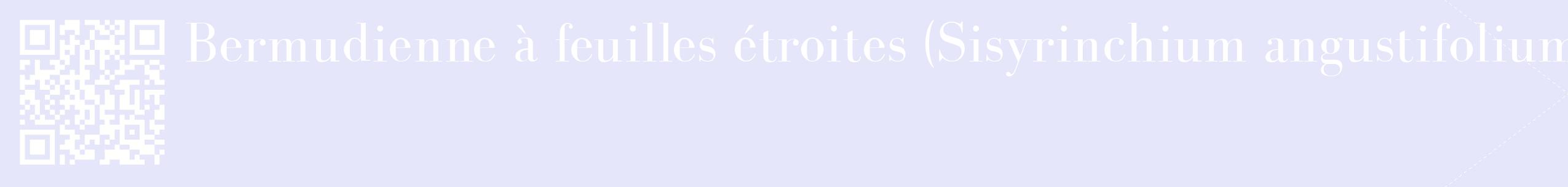 étiquette 2