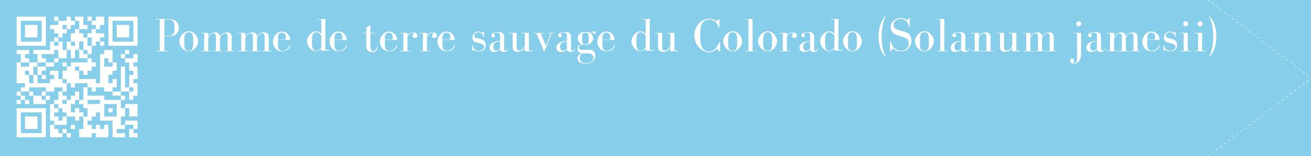 étiquette 2