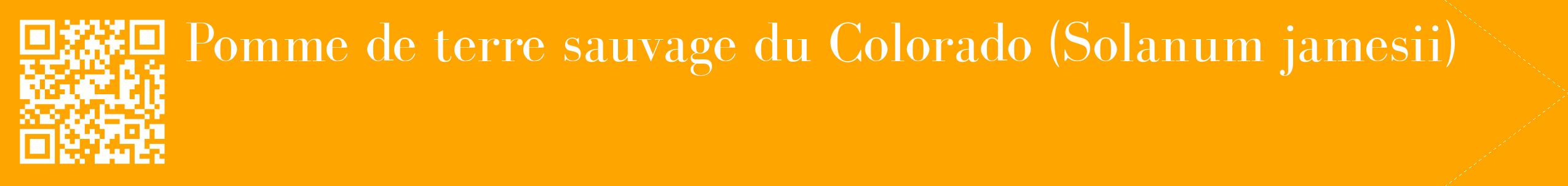 étiquette 2