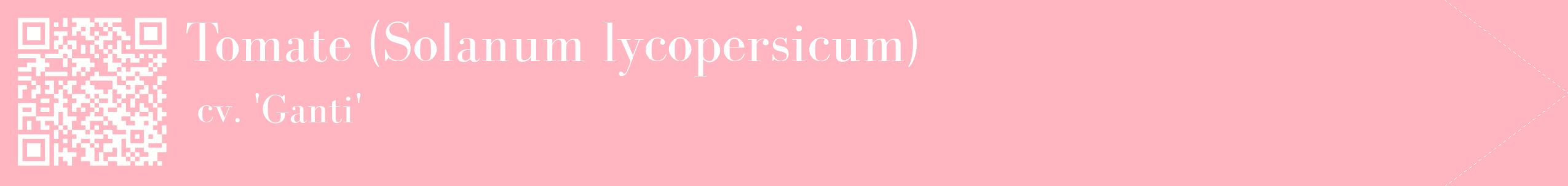 étiquette 2