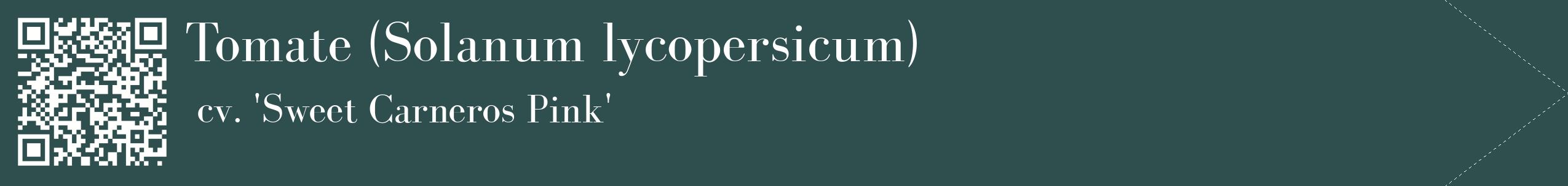 étiquette 2