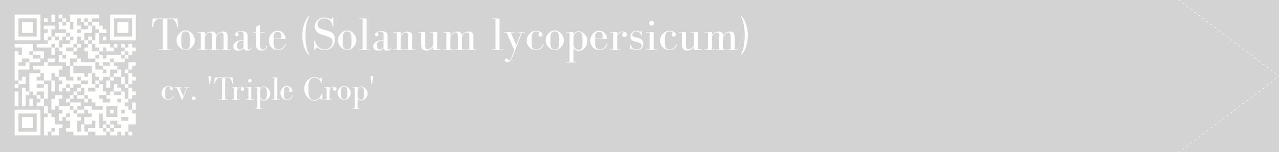 étiquette 2