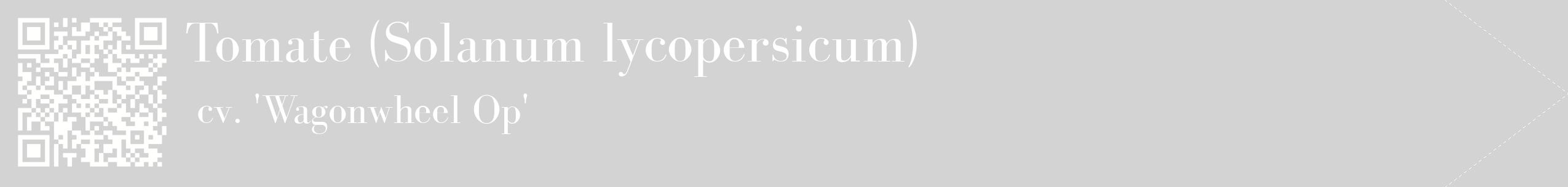 étiquette 2