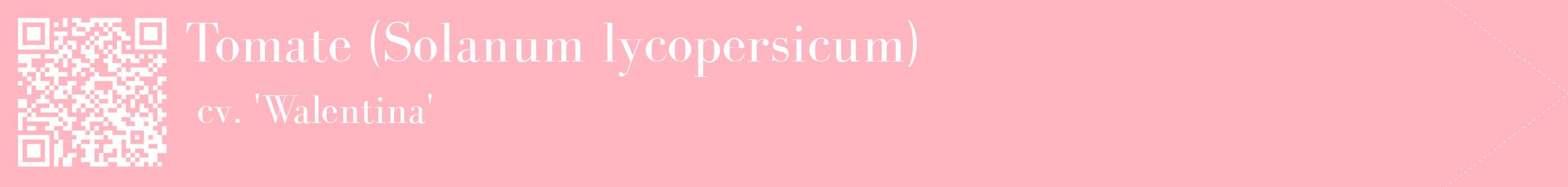 étiquette 2